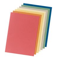Falken Aktendeckel 80004120 23x31,8cm 250g blau 100 Stück