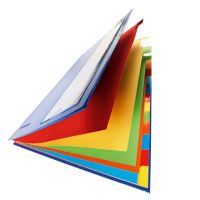 PAGNA Ordnungsmappe Deskorganizer 44133-01 DIN A4 12Fächer rot