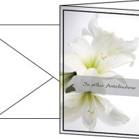 SIGEL Trauerkarte Amaryllis DS006 11,5x17cm 10 Stück +Umschläge