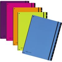 PAGNA Pultordner Trend 24129-08 12Fächer 3Schaulöcher weiß