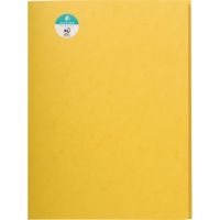 Exacompta Sammelmappe 56404E DIN A4 3Klappen Karton gelb