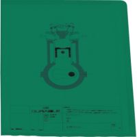 DURABLE Sichthülle 233705 PP grün 100 Stück