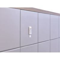 tesa Klebenagel 77762-00000 2kg 2 Stück