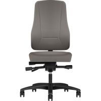 prosedia Drehstuhl Younico Pro 2456-5802 grau