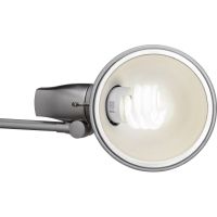 MAUL Tischleuchte MAULrock 8234195 15Watt Standfuß silber