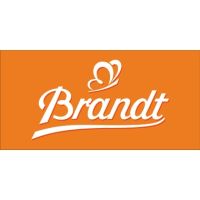 Brandt Gebäck Hobbits Kernig 29740 1.368g 60x2 Stück