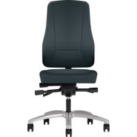 Prosedia Drehstuhl Younico Pro 2456 2456/5802/2234 grau