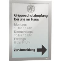 DURABLE Magnetrahmen DURAFRAME 487223 DIN A4 silber 2 Stück