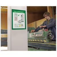 DURABLE Magnetrahmen DURAFRAME 487205 DIN A4 grün 2 Stück