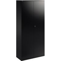 Bisley Flügeltürenschrank Universal E782A04633 5OH schwarz