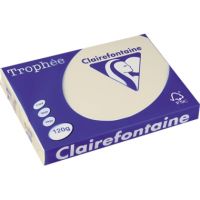 Clairefontaine Tropheé Papier/1242C A4 sand 120g 250 Blatt