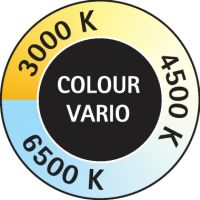 MAUL Tischleuchte MAULgrace colour vario 8205095 LED 6W silber