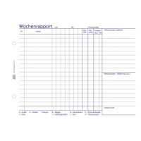 Avery Zweckform Wochenbericht 1310 DIN A5 100Bl.