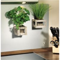 tesa Klebestücke Powerstrips Large 58000-00102 81x15mm weiß 10 Stück