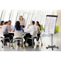 Bi-office Flipchart EA4822016 mobil Papierrolle 70x100 grau