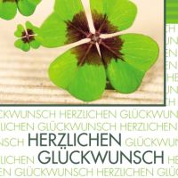 SIGEL Faltkarte Fortune DS004 10 Stück +Umschl.