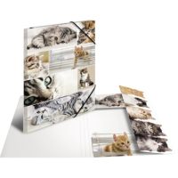 HERMA Sammelmappe 19219 DIN A3 Karton Katzen