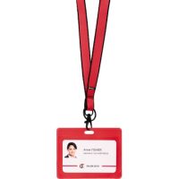 Tarifold Namensschild 200433 rot 30 Stück