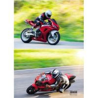 RNK Zeichenmappe Grand Prix 45324 DIN A3 310x440mm Gummizug Karton