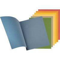Falken Aktendeckel 80001167 23x31,8cm 250g grün 100 Stück