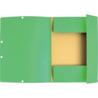 Exacompta Sammelmappe 55513E A4 hellgrün