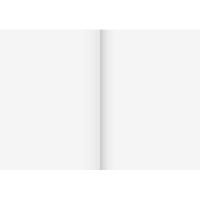 BRUNNEN Schulheft 104492002 DIN A4 16Blatt unliniert