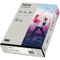 inapa tecno Kopierpapier colors 2100011337 A4 120g grau 250Bl./Pack