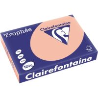 Clairefontaine Kopierpapier 1243C A4 120g pfirsich 250Bl.
