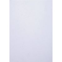 Exacompta Einbanddeckel Evercover 27800E weiß 25St.