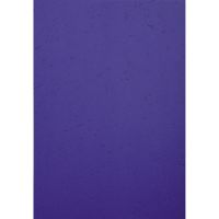 Exacompta Einbanddeckel Evercover 27802E blau 25St.