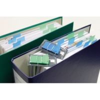 InFO Flags Heftstreifen 7727-99 25x43mm 50Streifen grün