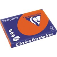 Clairefontaine Kopierpapier 1031C A3 160g ziegelrot 250Bl.