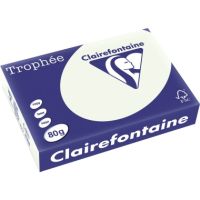 Trophee Color Kopierpapier 1974C A4 80g lindgrün 500Bl.