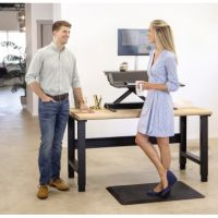 Fellowes Sitz-Steh-Workstation Lotus 0007901 schwarz