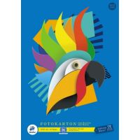 Edition Dürer Fotokarton 053635000 DIN A3 300g 10Blatt