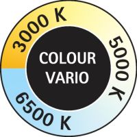 MAUL Tischleuchte MAULsally 862042890 sw