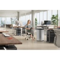 Hailo Abfalleimer Big-Box Swing XL 0860-211 52l edelstahl