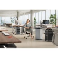 Hailo Abfalleimer Big-Box Swing XL 0860-221 52l silber