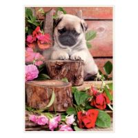 Leitz Folientasche 16926 125mic A4 seidenmatt 100 Stück