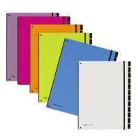 PAGNA Pultordner Trend 24129-08 12Fächer 3Schaulöcher weiß