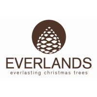 EVERLANDS Weihnachtskranz Winnipeg 40cm gn