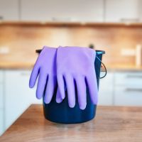 Spontex Handschuh Extra Comfort 12307017 Gr.07