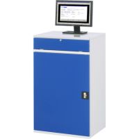 RAU Computerschrank 650x520x1060mm stationär l.gr/e.bl