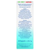 Doppelherz Ginkgo +B-Vitamine +Cholin 40St