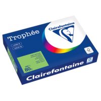Clairefontaine Kopierpapier 1875PC A4 80g maigrün 500Bl