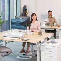Fellowes Fußstütze Hana LT 100016999 ws