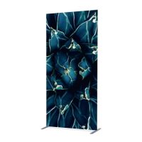 Showdown Raumteiler 100x200cm Kaktus bl