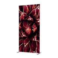 Showdown Raumteiler 100x200cm Kaktus rt