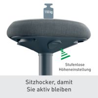 Leitz Sitzhocker Ergo Active 65440089 d.gr