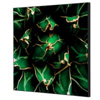 Showdown Wanddekoration Set 40x40cm Kaktus gn